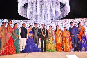 Jaya Prada Son Siddharth Wedding Reception Photos